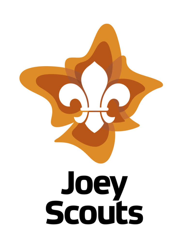 joey scout shirt